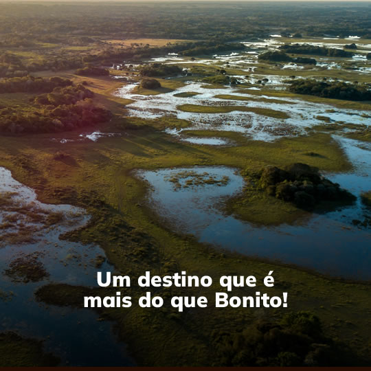 Conheça Bonito E O Pantanal Com Saídas De Belém - Turvicam - Sua ...